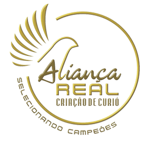 logo.png (90 KB)